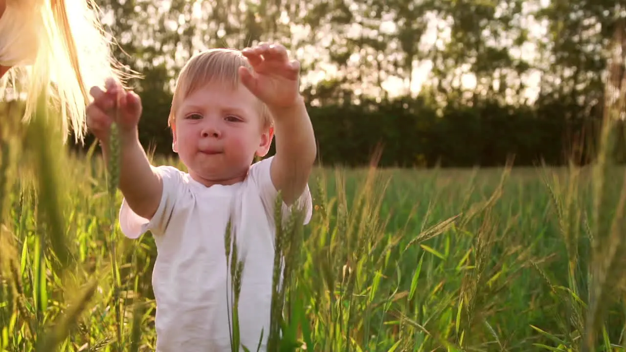 The concept of a happy family In the rye field the kid and his mother are fond of smiling at each other in spikelets in the backlight