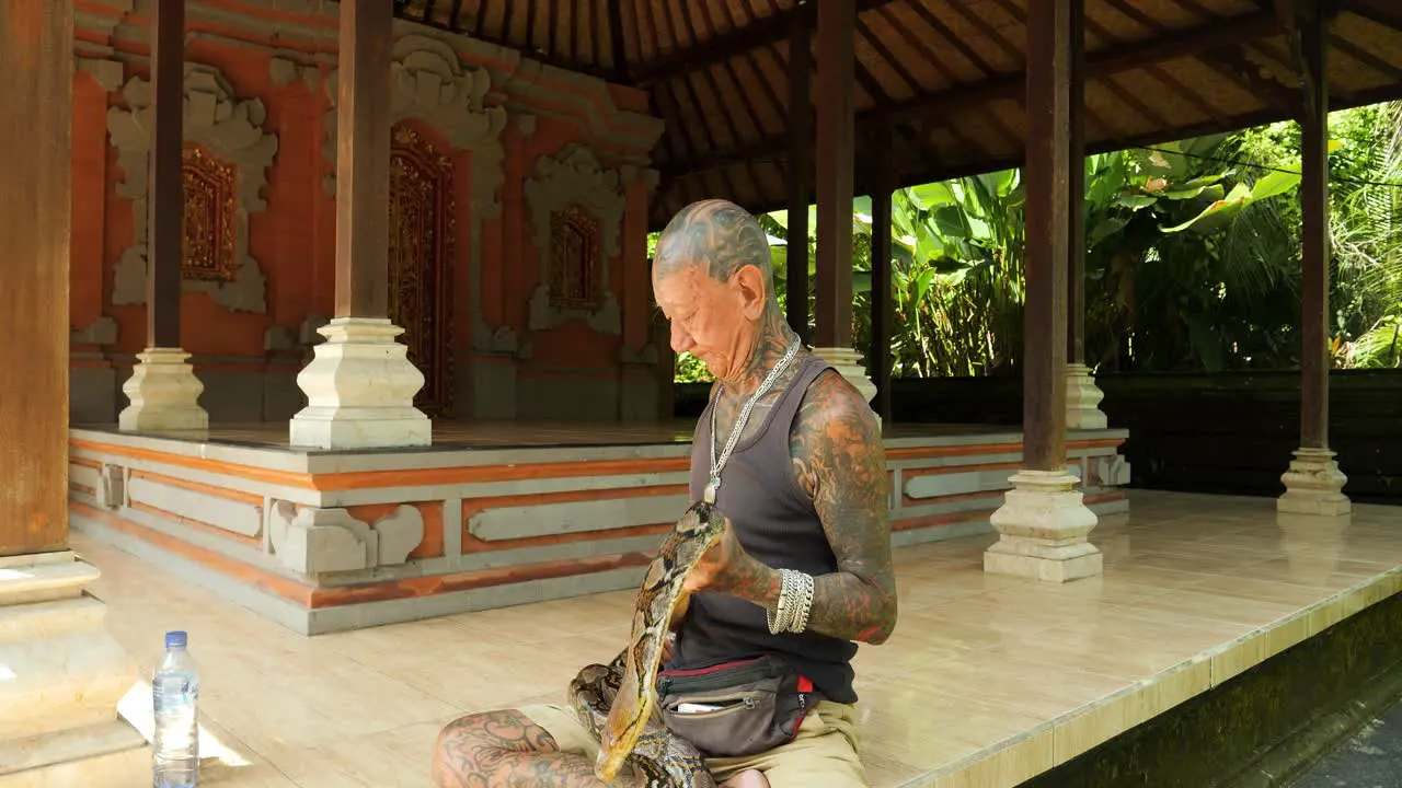 Slow motion parallax shot of a traditional snake charmer in a balinese temple wearing a snake around his neck and elegantly controlling it in bali indonesia