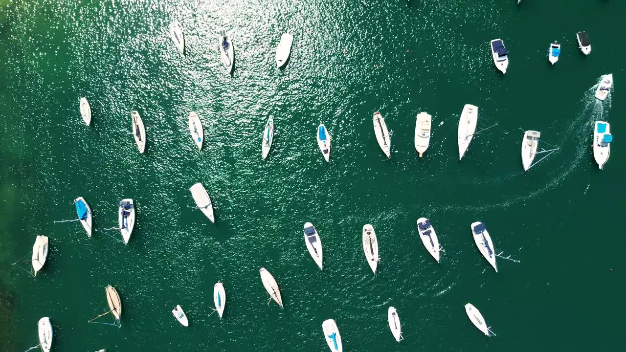 Drone aerial birds-eye view Mosman Bay yacht boat ferry wharf mast ocean clear water Cremorne Point North Sydney Neutral Bay sailing tourism travel NSW Australia 4K