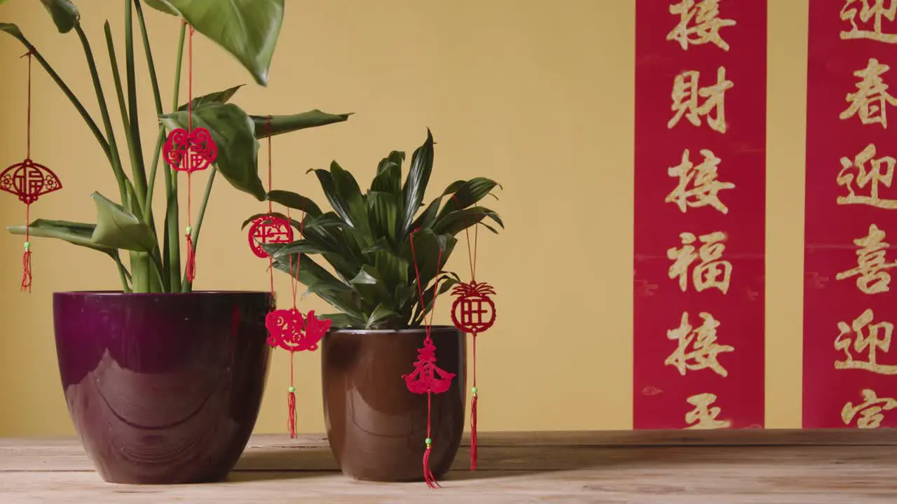 Decorations Celebrating Chinese New Year Hung From Plants At Home With Banner In Background 1