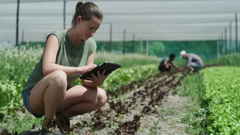 Eine Junge Bäuerin Nutzt Ein Digitales Tablet