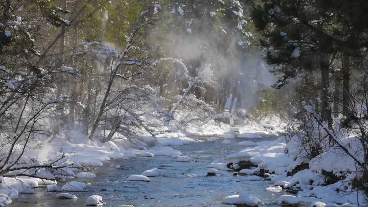 Beautiful snow scene forest in winter