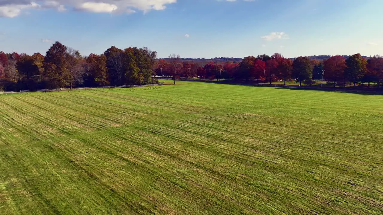 An aerial view of an open field surrounded by colorful trees in autumn on a sunny day