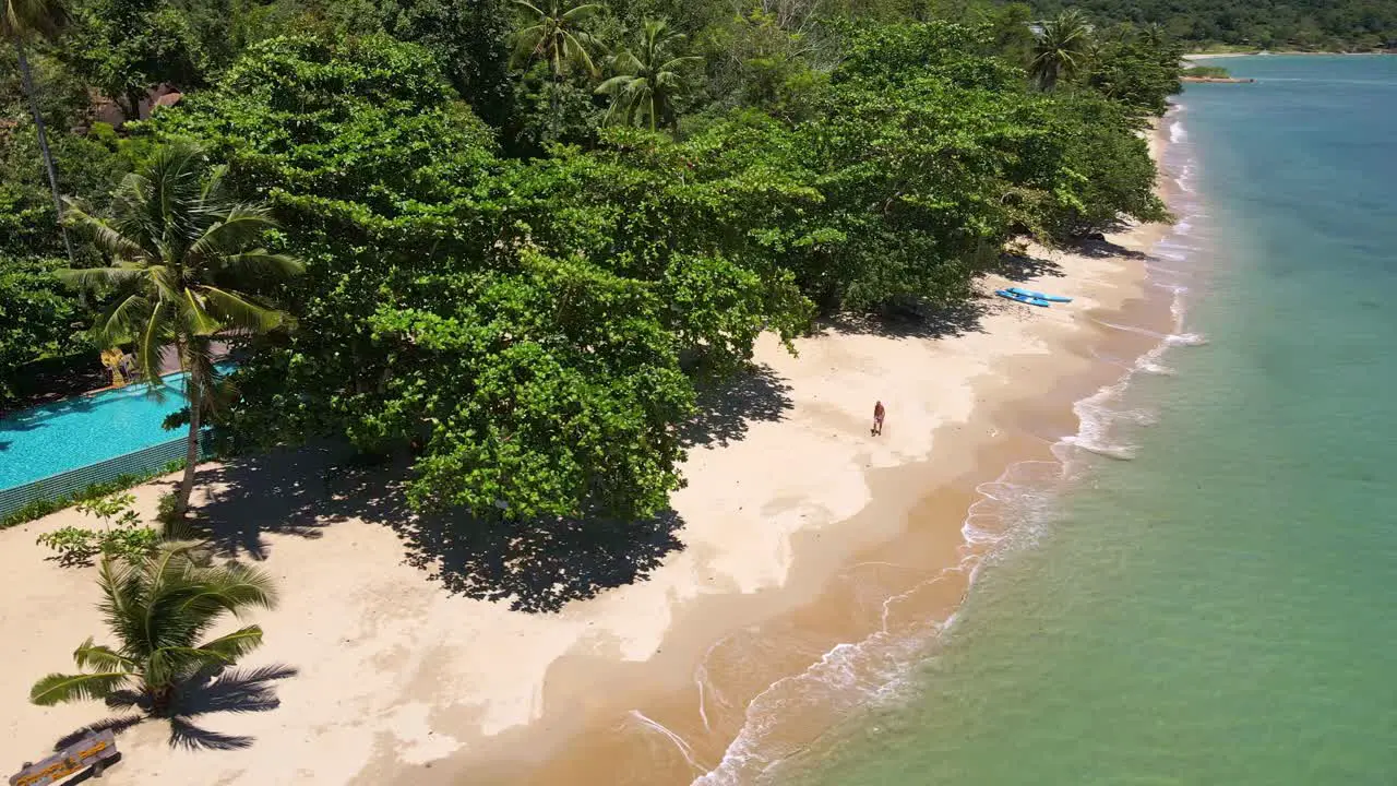 Tropical Island drone bird’s eye view down shot with lush green rain forest and tropical palm trees with white sand beach with man walking past a resort on the beach