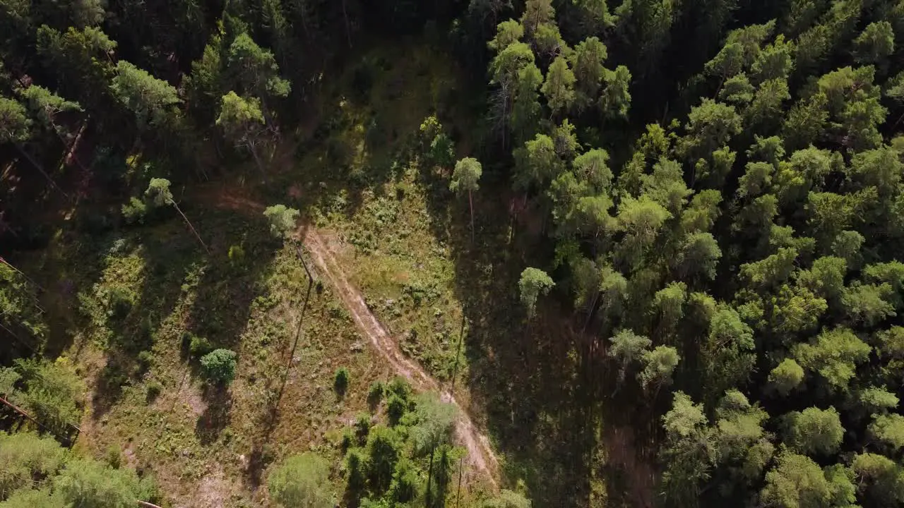 Drone flying forward above beautiful green forest with huge empty area with no trees