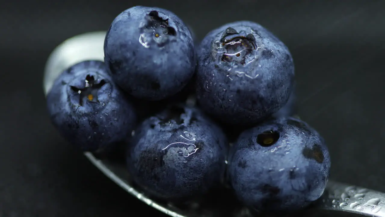 Close up macro shot of blueberries laying on a teaspoon of splashed and spayed water on a dark background lying captured in slow motion