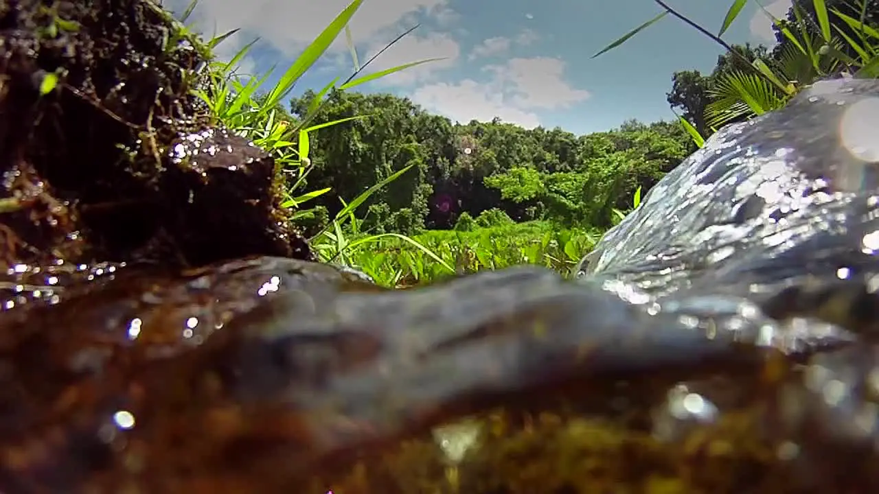 Pure fresh clean water pours down a stream