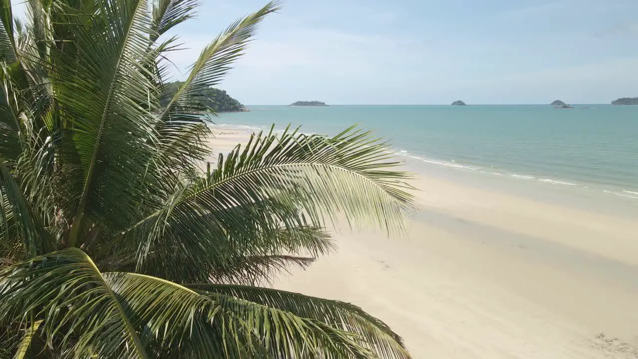 Aerial pan footage of tropical white sand beach with palms and ocean