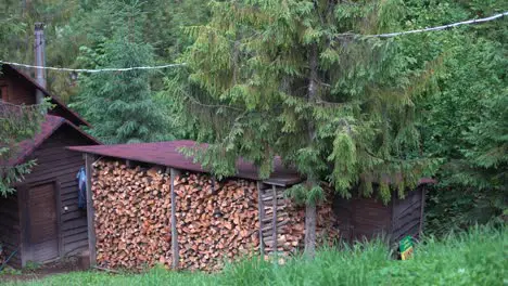 A large stack of snow-covered firewood stands on backyard in the village