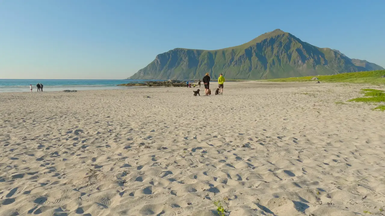 People walking their dogs on a scenic beach on Lofoten Island in Northern Norway