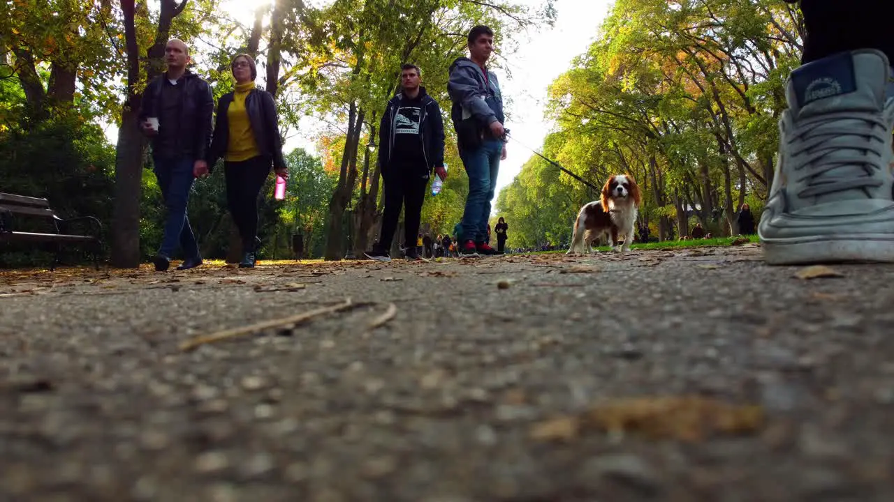 Low angle shot from drone perspective of its landing while people watch in a park