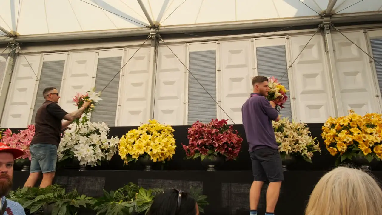 Workers taking lilies from bunches to sell at the chelsea flower show