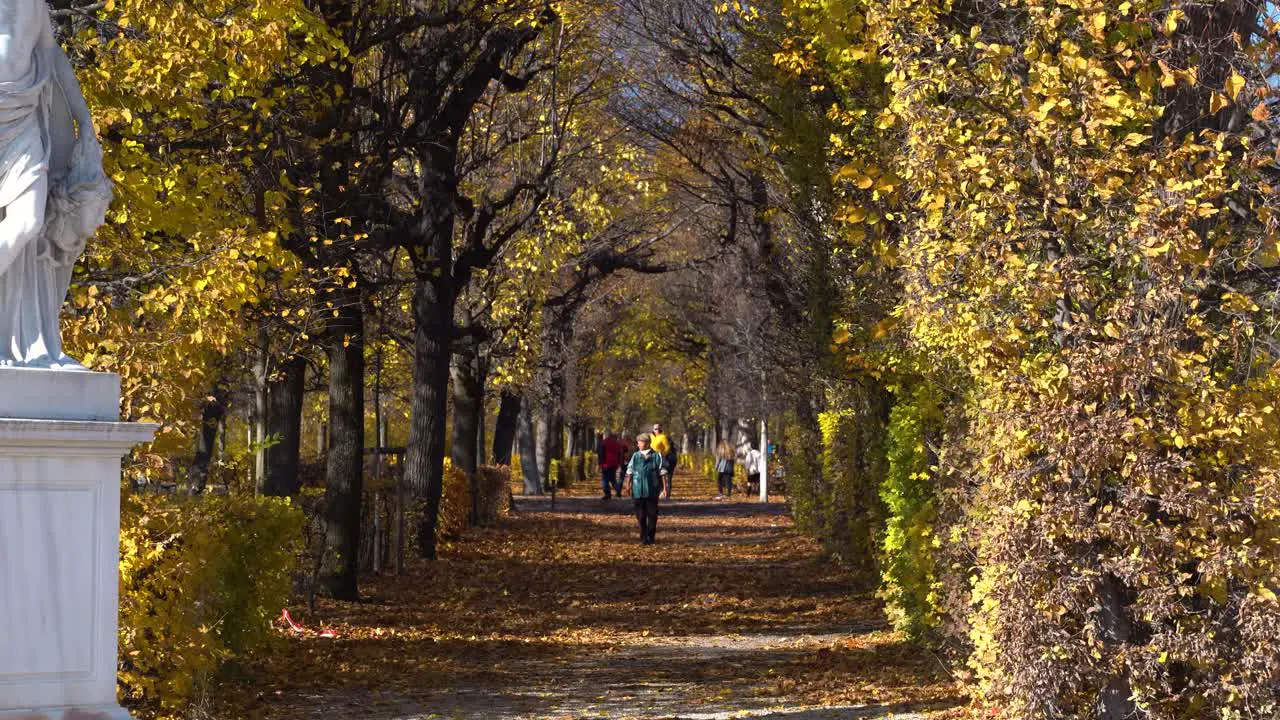 People out for a stroll in beautiful autumn park tunnel