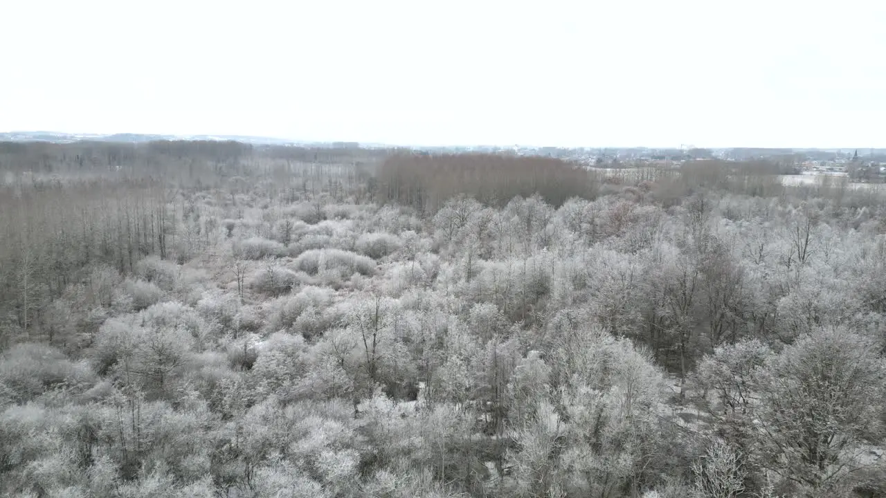 Aerial footage of a forest covered in frost after the first cold of the winter season