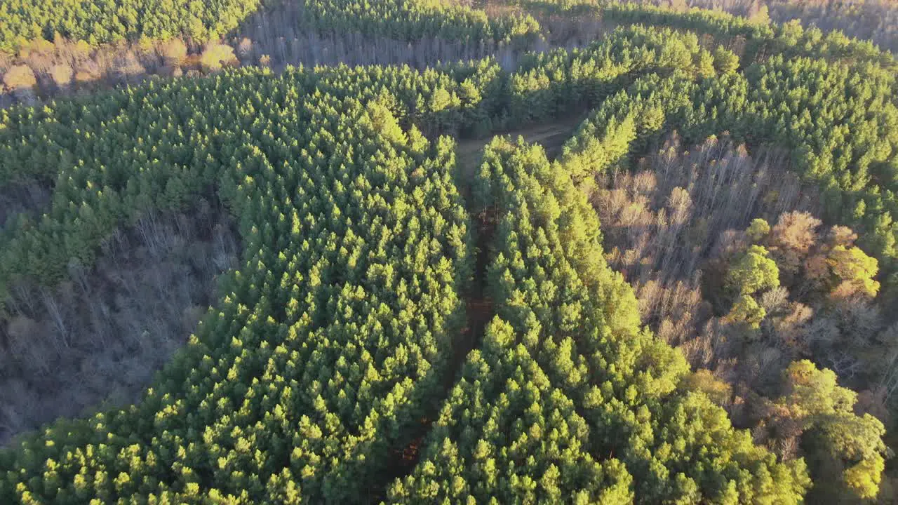 Tree replenishment area in Waverly Tennessee 4K