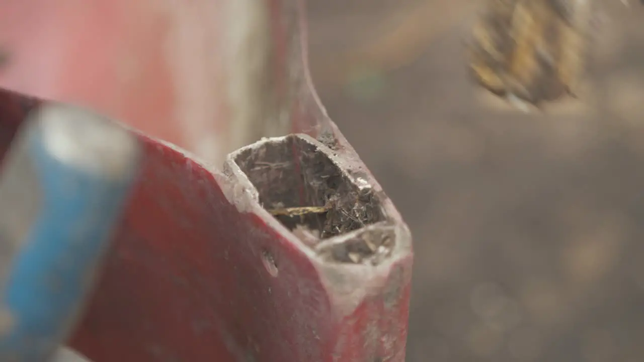 Removing rotten wood from bow of canoe