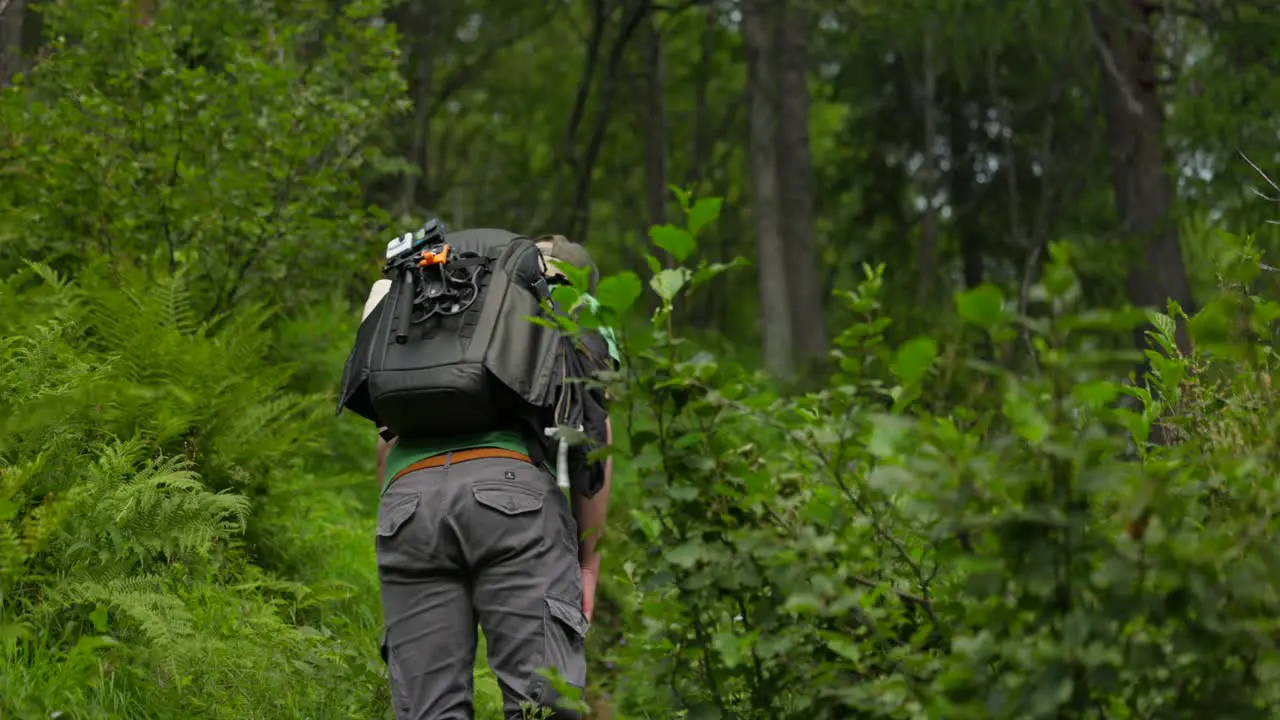 Male content creator hikes along climbing forest path rear view