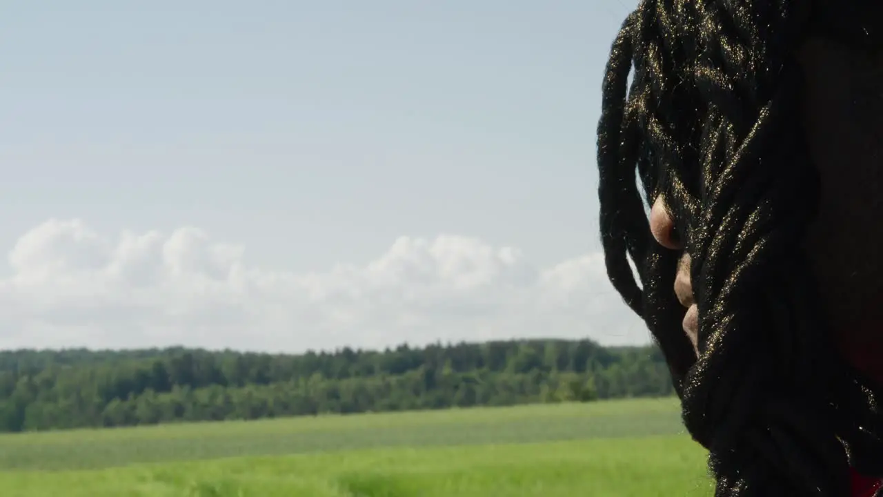 Samson looking around towards screen while staring out at green landscape Biblical character with long dreads Israelite warrior and judge black male in old testament Christian