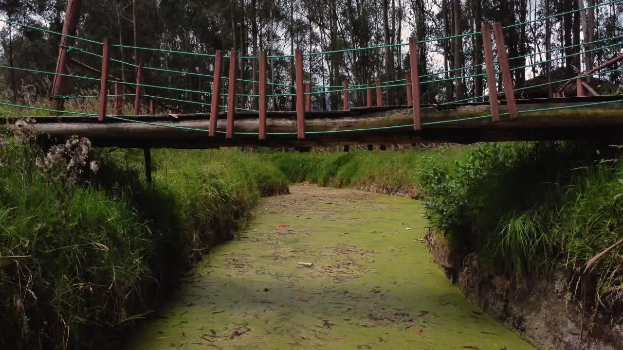 Flying the drone away from the wooden bridge