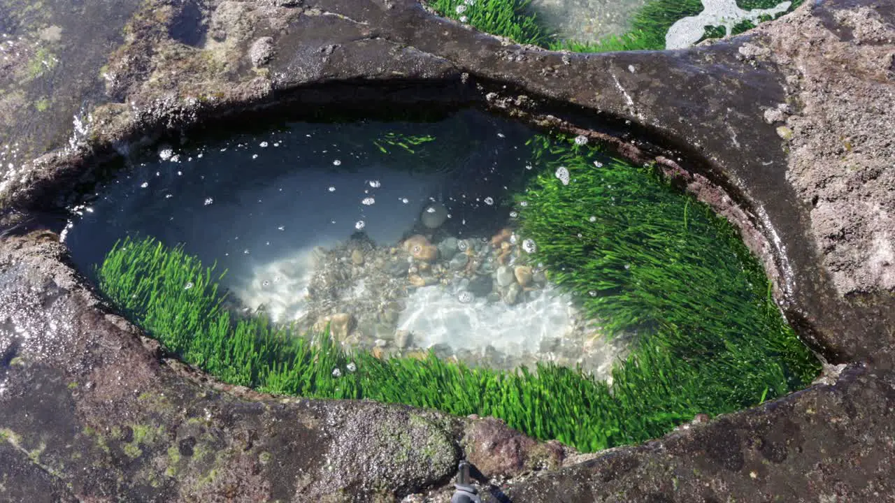 Tidepool carved in the stone shore at Cave Beach in Jervis Bay Australia with wave washing it Locked looking down shot