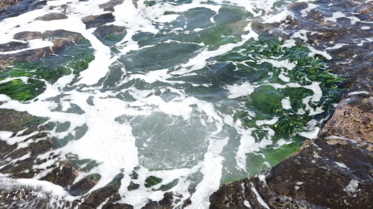 Large tidepool washed by a wave at Jervis Bay Australia full of green algae Locked low angle shot