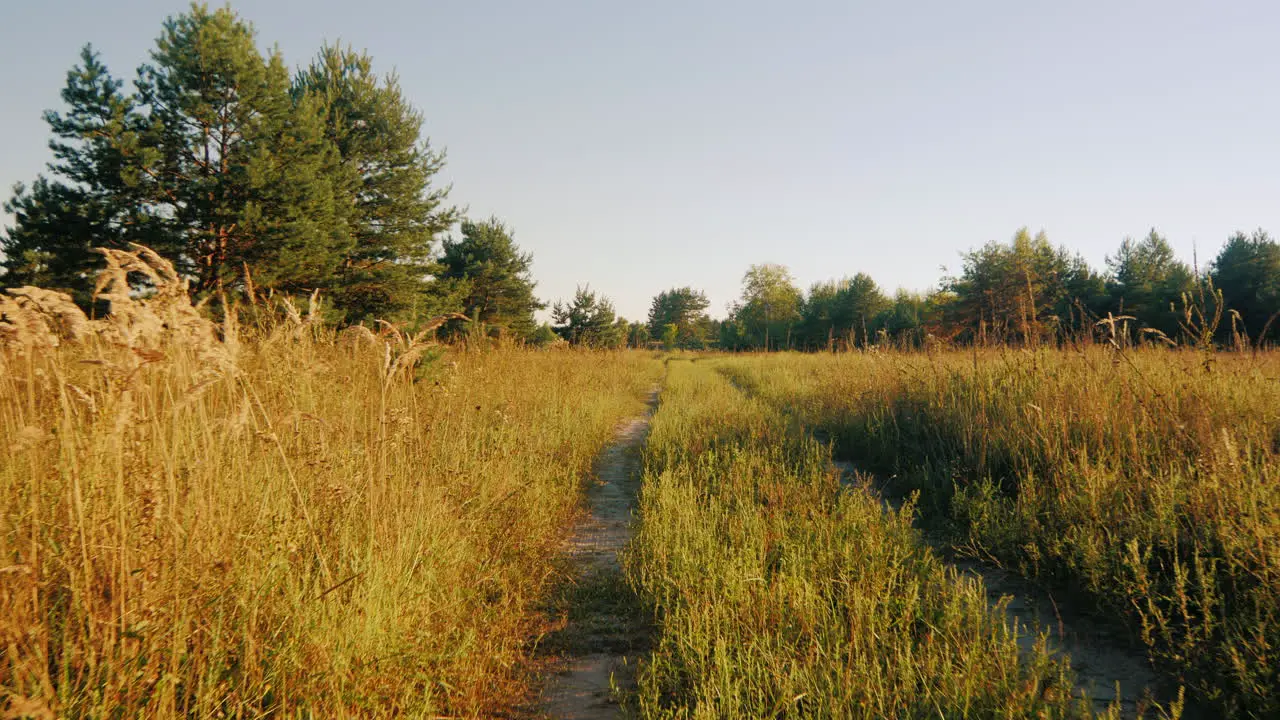 Armed Men In Camouflage Walking Along A Country Road Back View