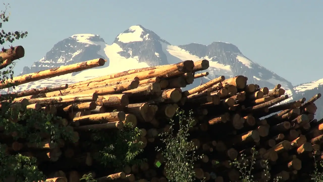 British Columbia Revelstoke logs close up