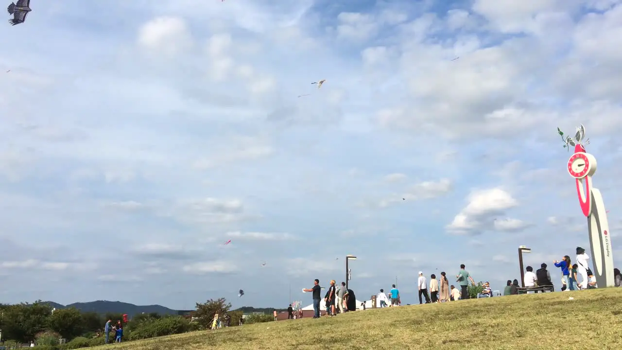 A girl flies a kite at Imjingak by the DMZ overlooking North Korea in Munsan Paju Gyeonggi-do South Korea