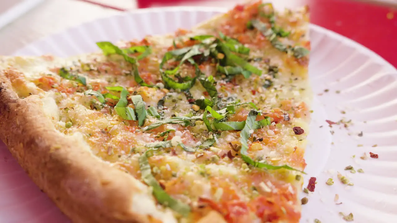 Sourdough margherita pizza slice with tomato cheese and basil on a paper plate