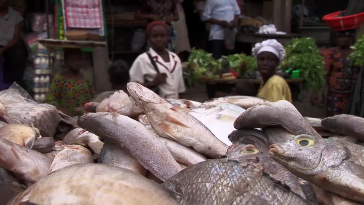 Fish market