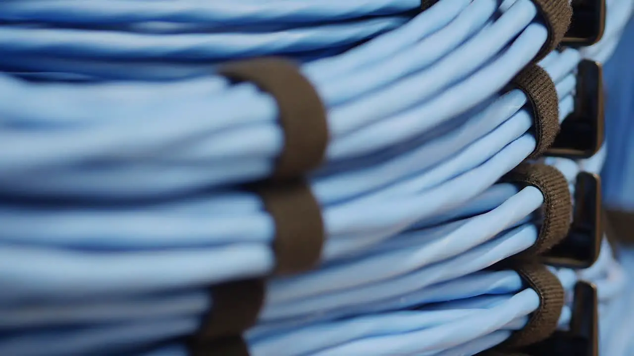 Close-up of coils of wound up blue network server cables