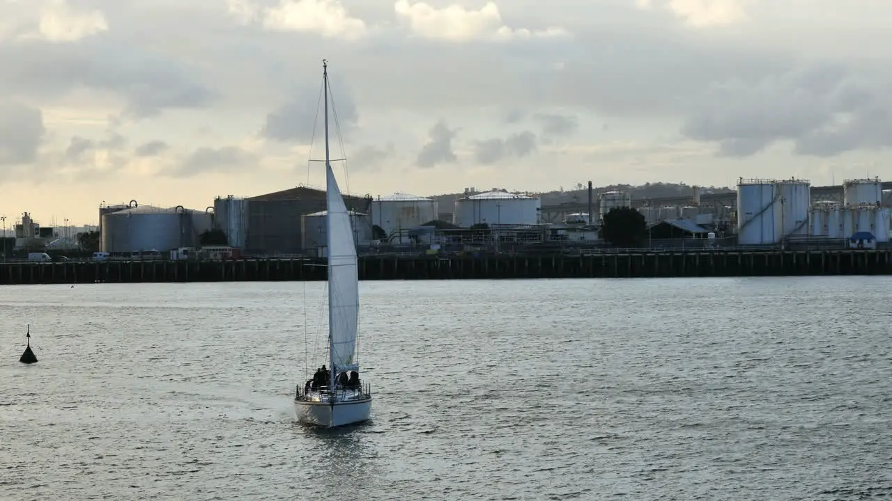 New Zealand Auckland Bay Sailing