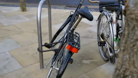 Tracking Shot Past Tree Approaching Bicycles Locked to Railing