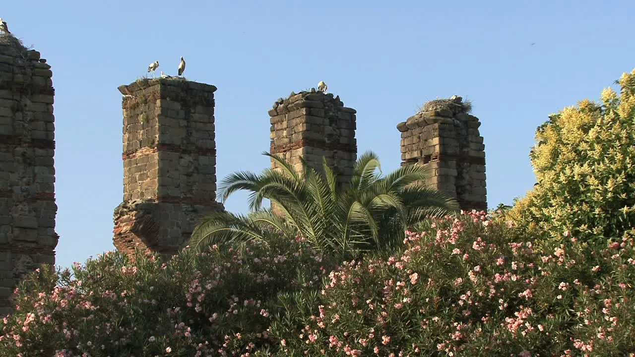 Spain Merida aqueduct and storks 4