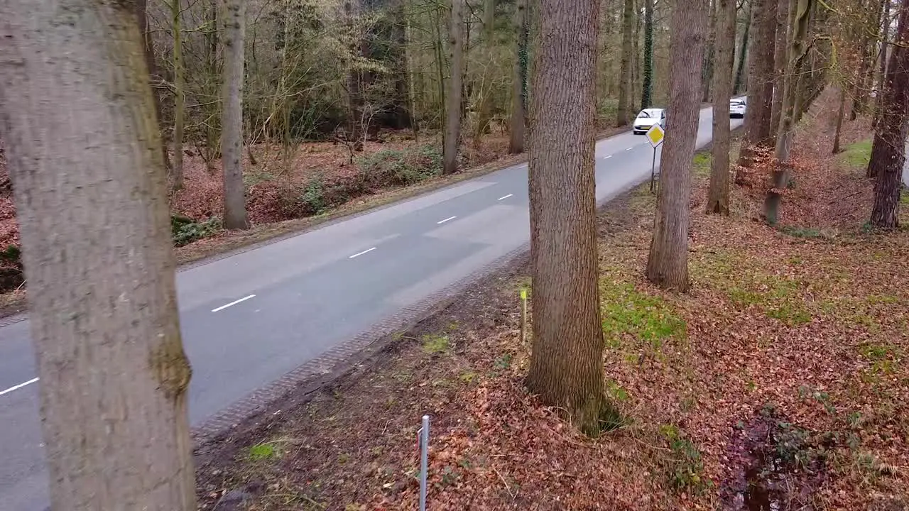 side view of a road in the forest cars driving through frame