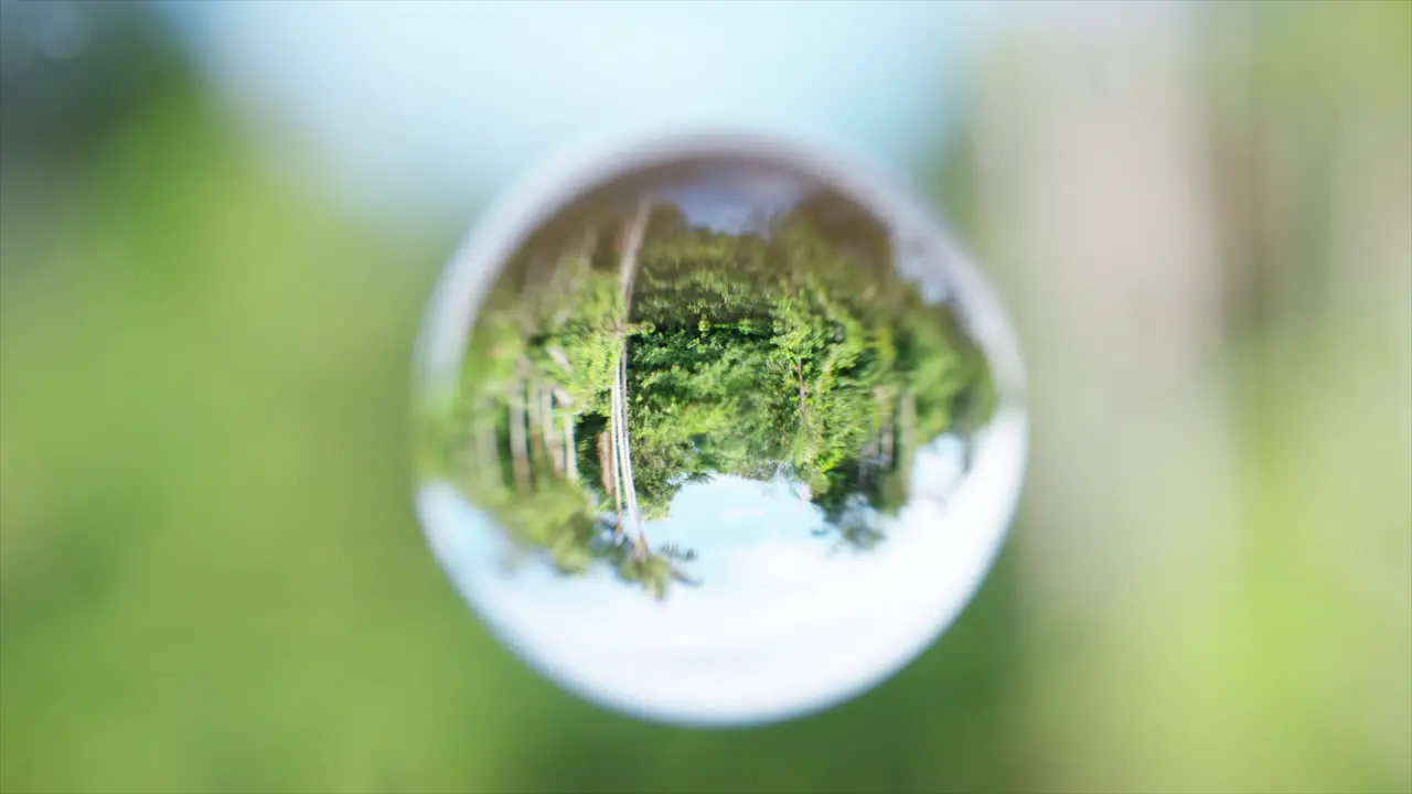 Daytime Amazonian river cruise refracted in a bubble