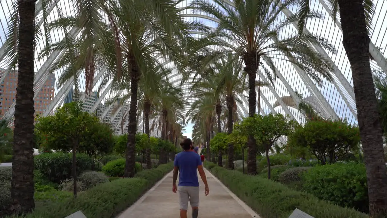 Tilt up shot of male person walking on path surrounded by palm trees and modern building in background