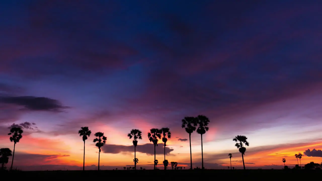 Multi Coloured Sunset over Rice Paddy and Palm Trees in the Asian Planes