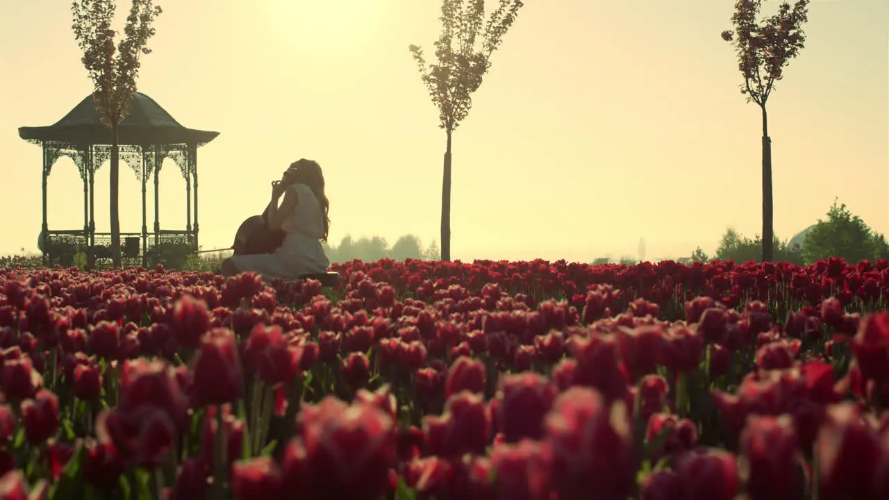 Back view of unrecognizable woman playing stringed instrument in floral garden