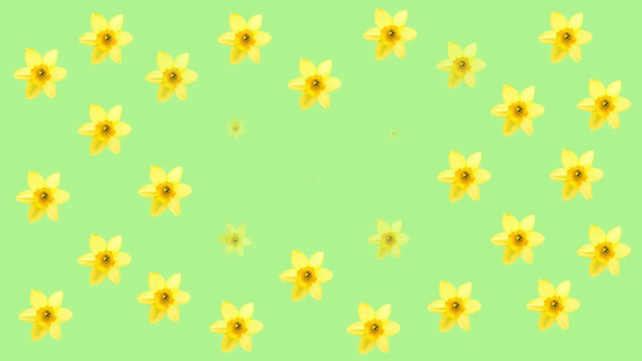 Animation of blue and yellow flowers on green background