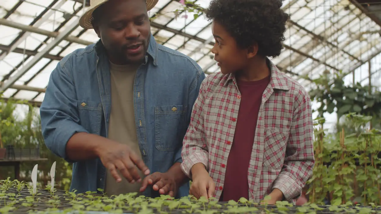 African American Father and Son Working in Greenhouse Farm