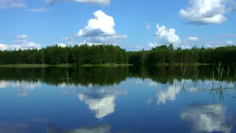 Beautiful forest lake with calm water in pine forest Wonderful landscape