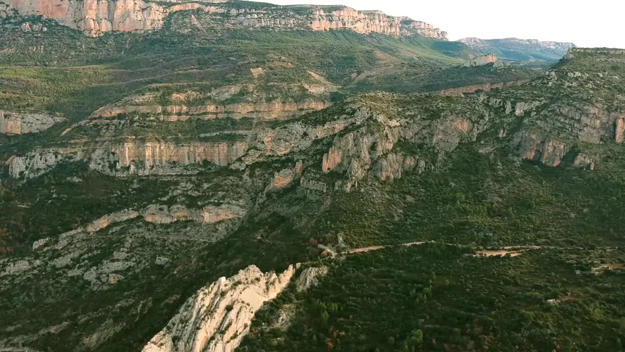 Rocky vegetation coving the Catalonia Spain mountain rocks