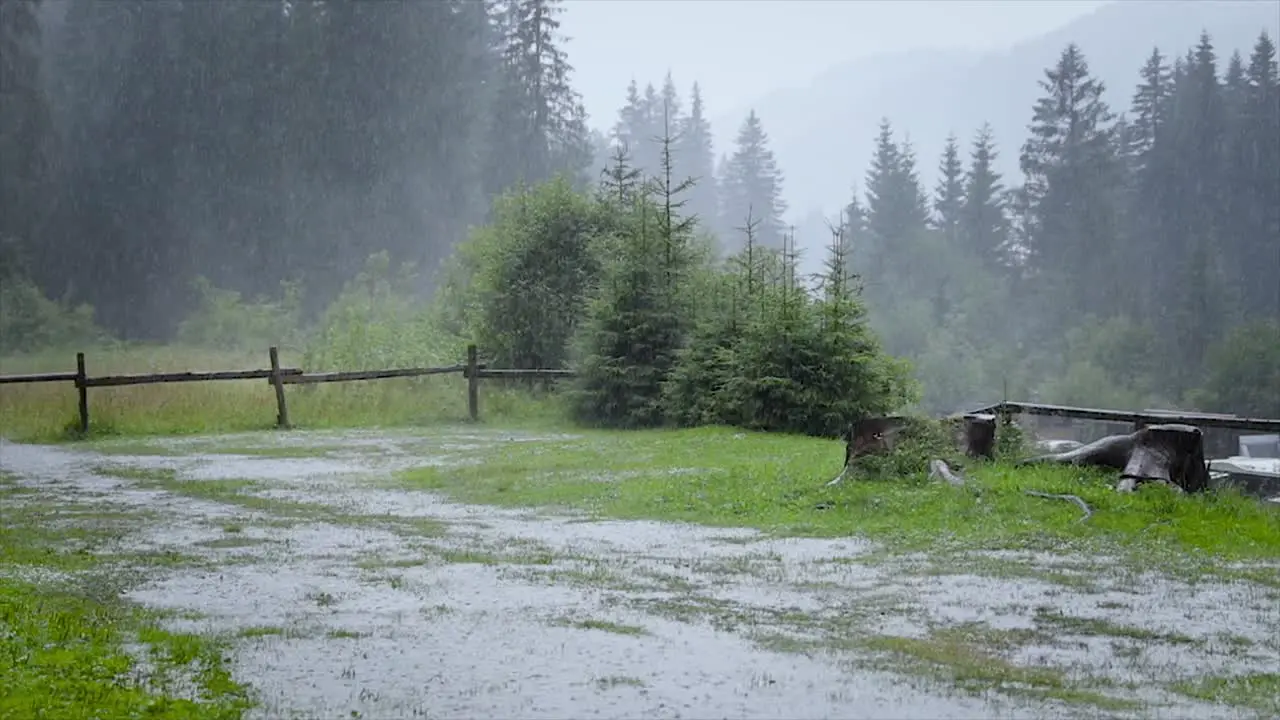 Heavy rain on a background of green forest