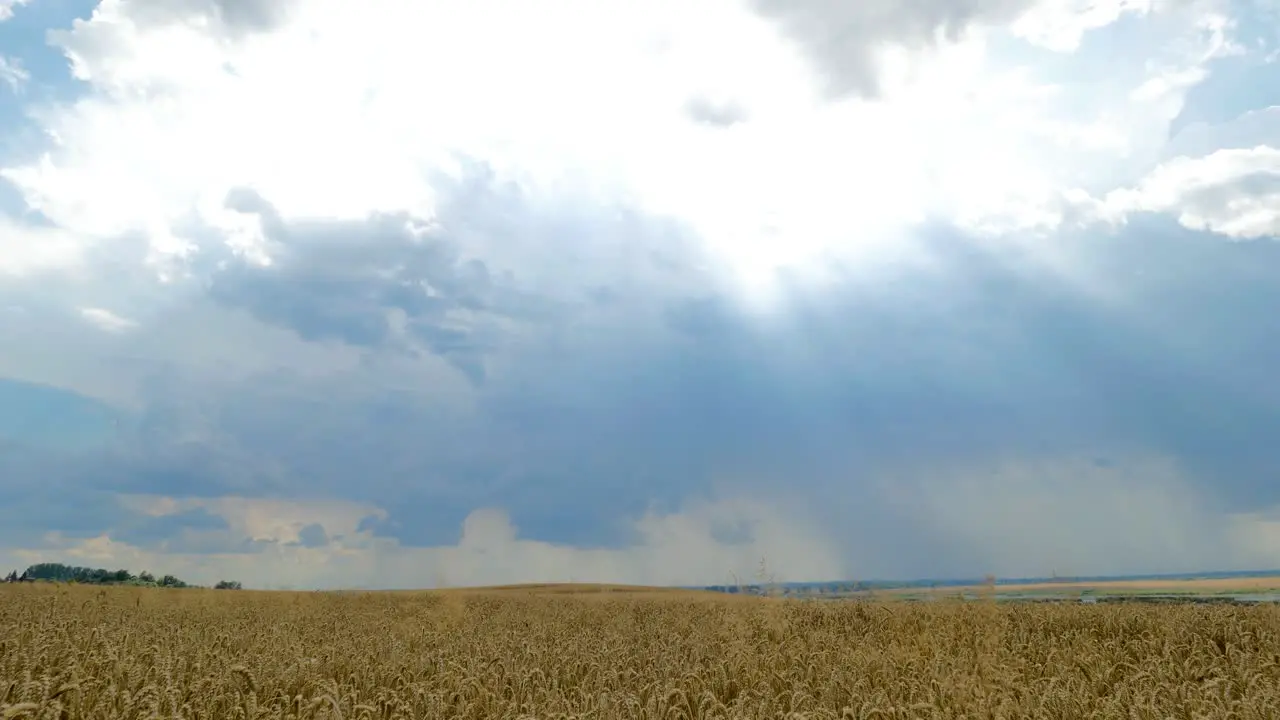 A distant storm over an endless field