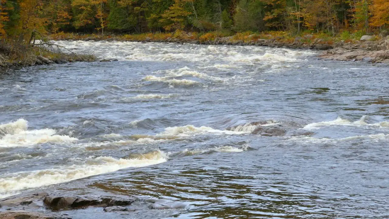 Tranquil and pure sights await the ones who will visit a river in autumn