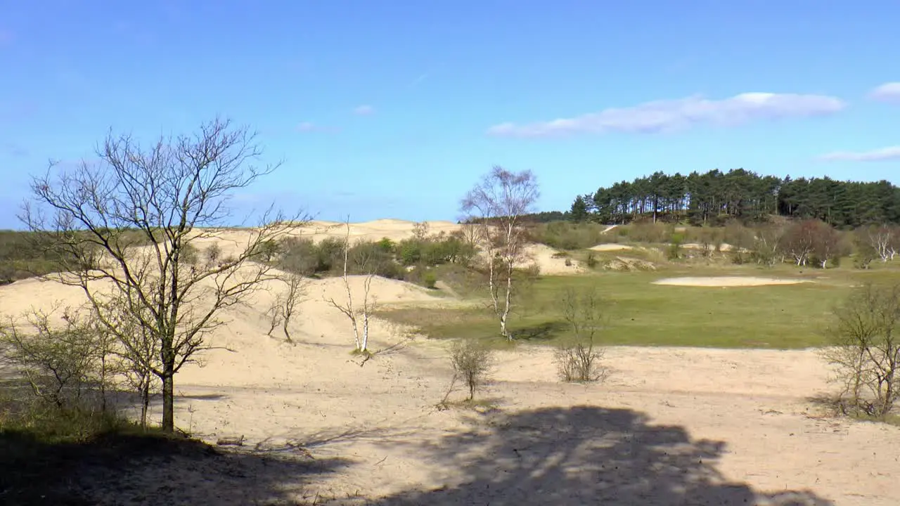 Dune landscape in the Netherlands timelapse