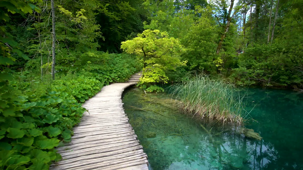 Nature walking path in Plitvice Lakes Croatia