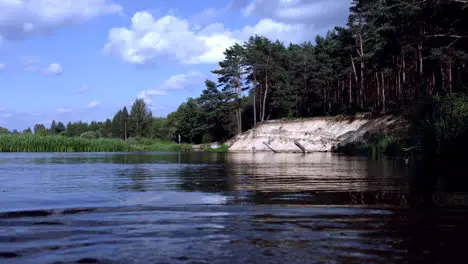 Beautiful landscape with pine forest growing on sandy cliff near lake