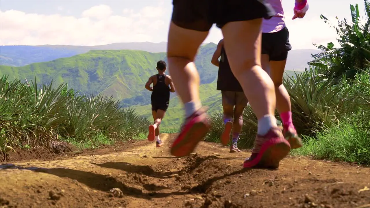 Group of runners running on a field to the mountains